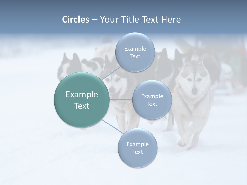 Team Day Range PowerPoint Template