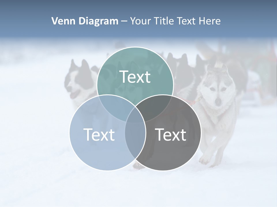 Team Day Range PowerPoint Template