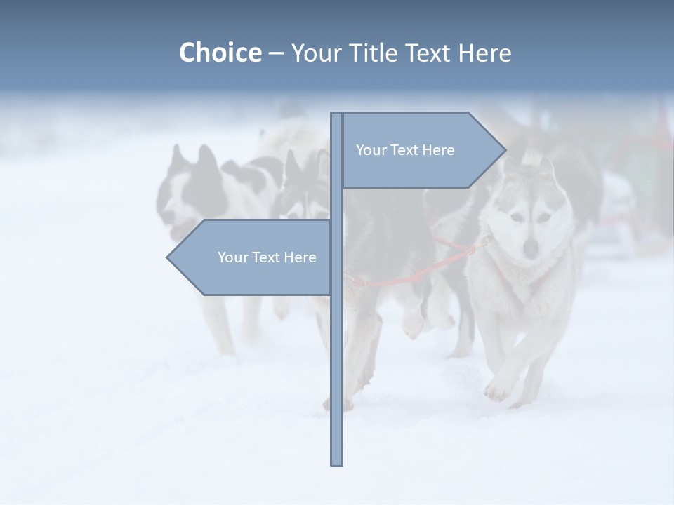 Team Day Range PowerPoint Template