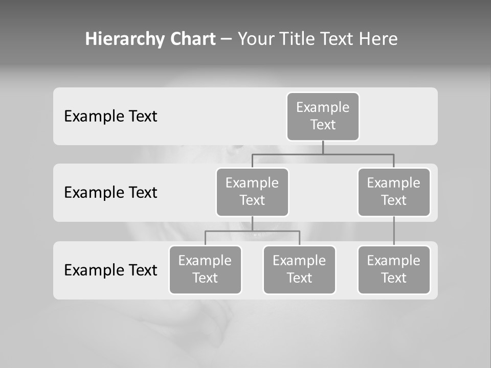 Legal Jury Judge PowerPoint Template