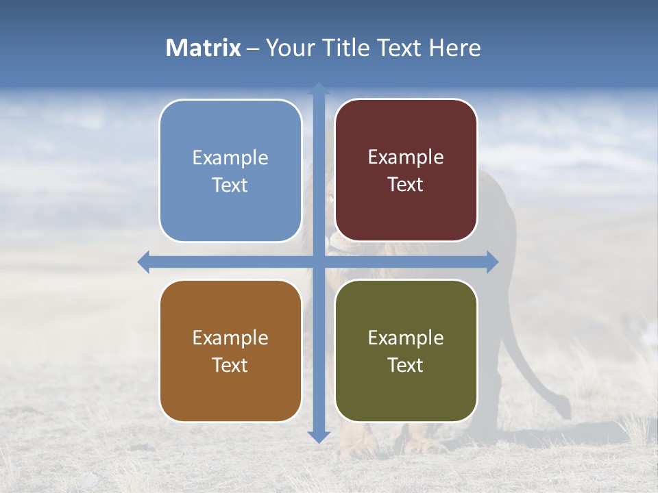 Lion Romans Christians PowerPoint Template