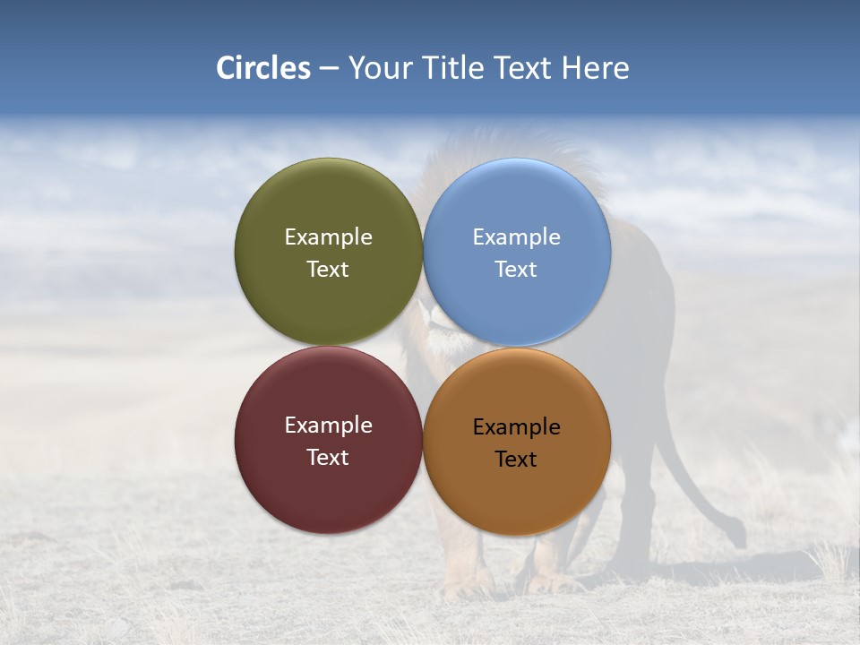 Lion Romans Christians PowerPoint Template