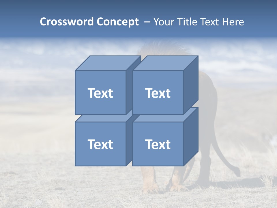 Lion Romans Christians PowerPoint Template