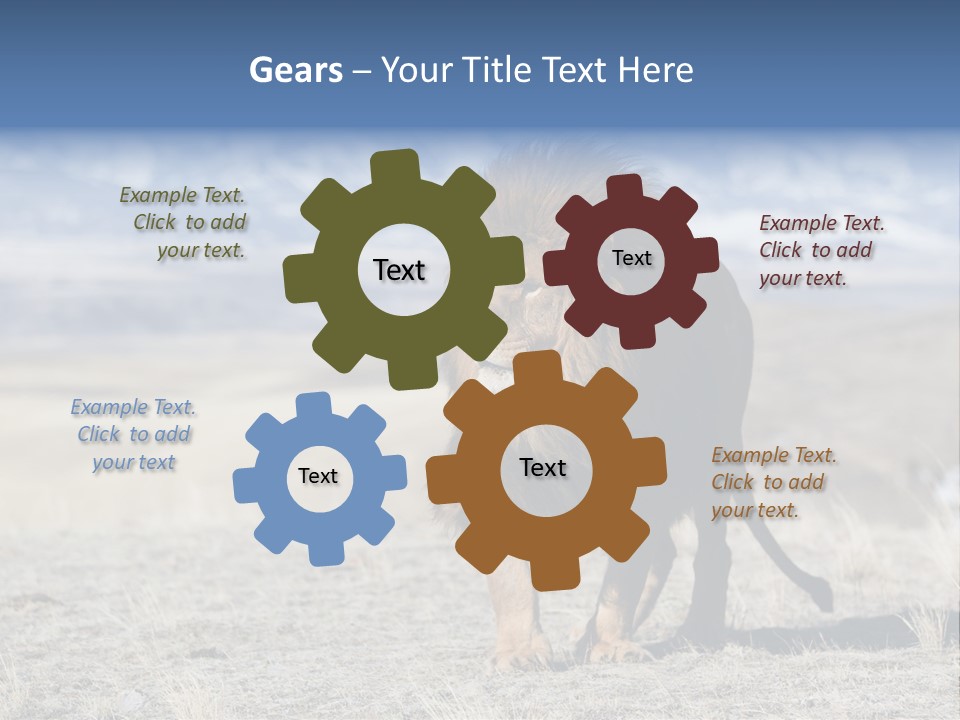 Lion Romans Christians PowerPoint Template