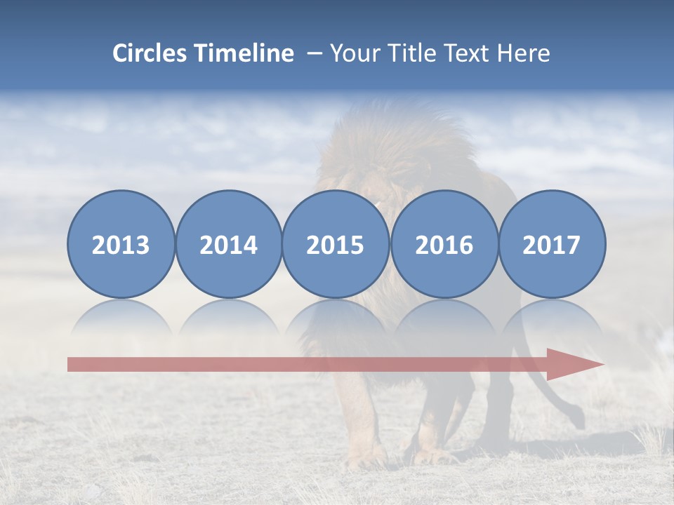 Lion Romans Christians PowerPoint Template