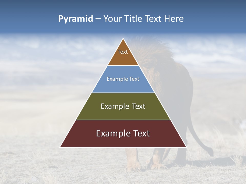 Lion Romans Christians PowerPoint Template