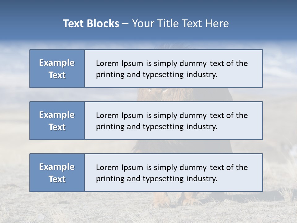 Lion Romans Christians PowerPoint Template