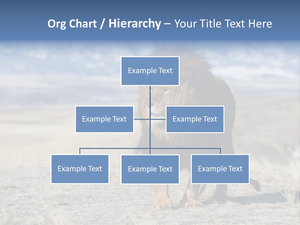 Lion Romans Christians PowerPoint Template