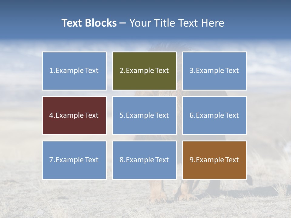 Lion Romans Christians PowerPoint Template