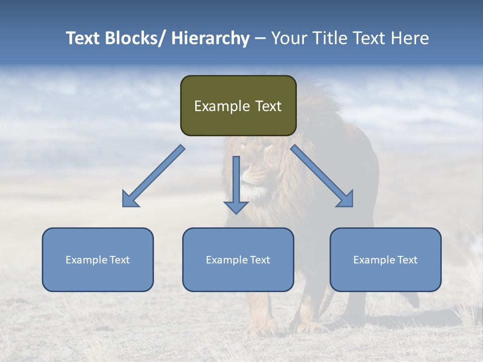 Lion Romans Christians PowerPoint Template