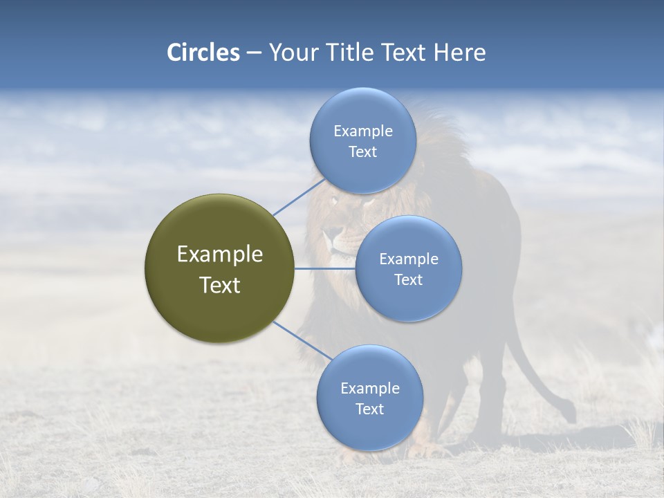 Lion Romans Christians PowerPoint Template