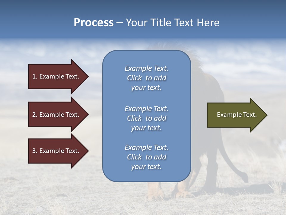 Lion Romans Christians PowerPoint Template
