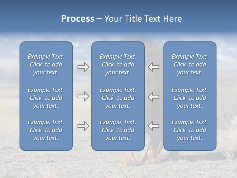 Lion Romans Christians PowerPoint Template