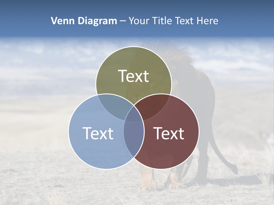 Lion Romans Christians PowerPoint Template