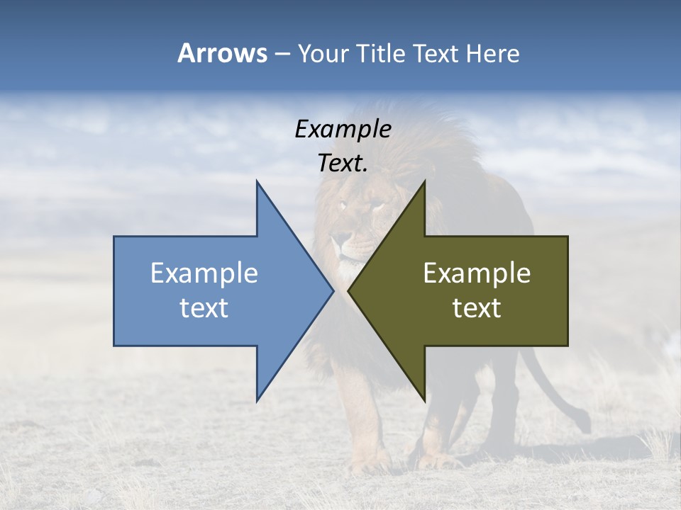 Lion Romans Christians PowerPoint Template