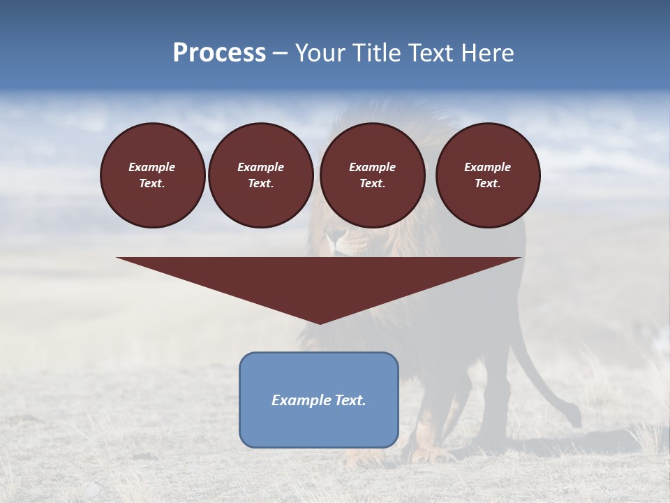 Lion Romans Christians PowerPoint Template