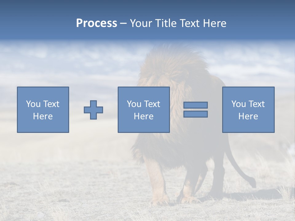 Lion Romans Christians PowerPoint Template