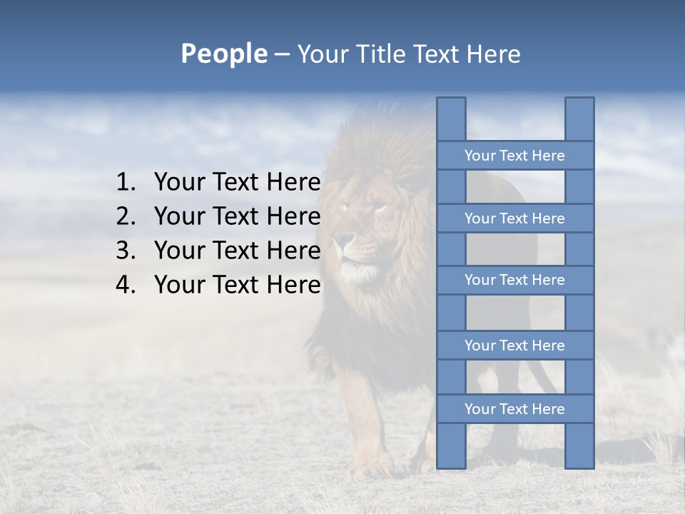 Lion Romans Christians PowerPoint Template