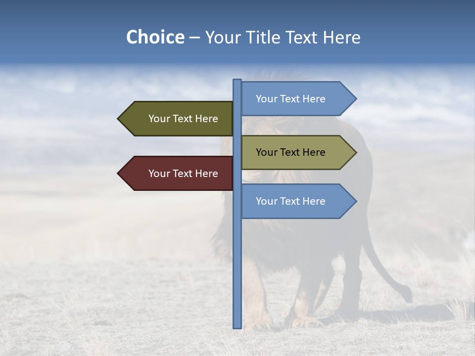 Lion Romans Christians PowerPoint Template