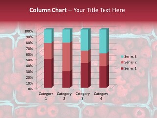 Bunch Fresh Dessert PowerPoint Template