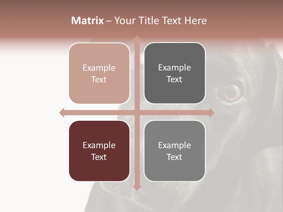 Retriver Intelligence Labrador Retriever PowerPoint Template