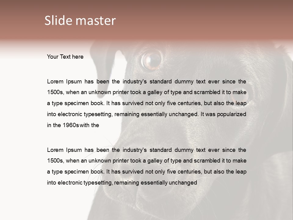 Retriver Intelligence Labrador Retriever PowerPoint Template