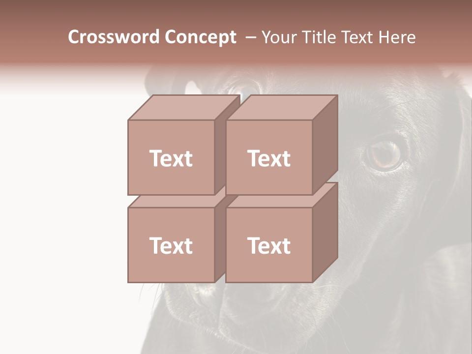 Retriver Intelligence Labrador Retriever PowerPoint Template