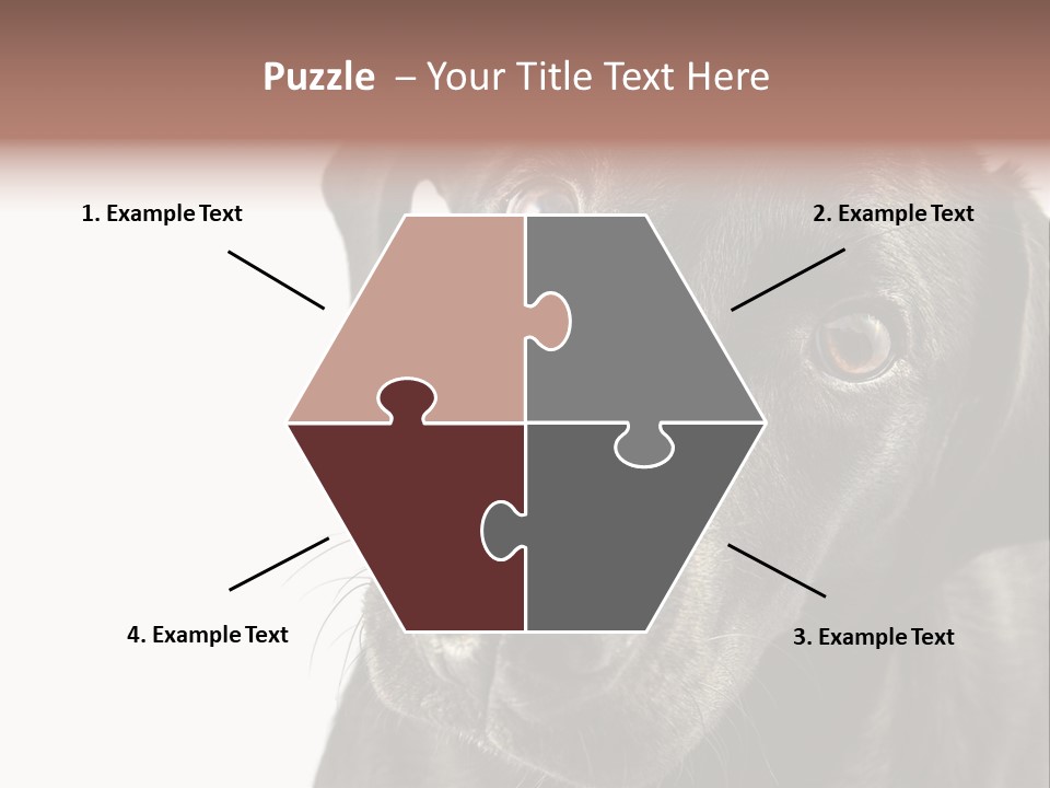 Retriver Intelligence Labrador Retriever PowerPoint Template