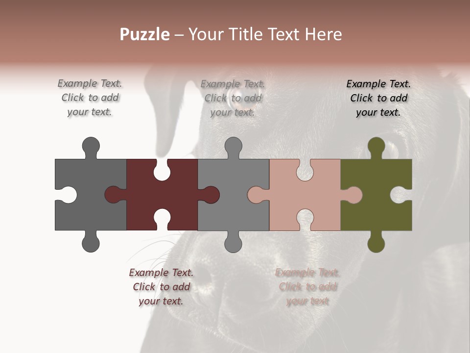 Retriver Intelligence Labrador Retriever PowerPoint Template