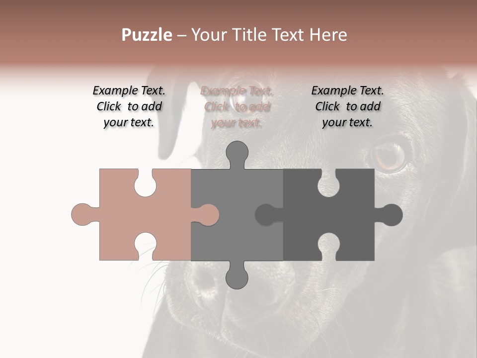 Retriver Intelligence Labrador Retriever PowerPoint Template