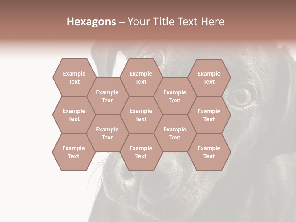 Retriver Intelligence Labrador Retriever PowerPoint Template