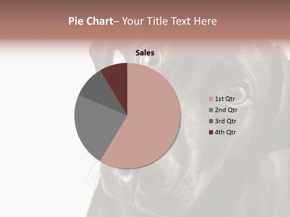 Retriver Intelligence Labrador Retriever PowerPoint Template