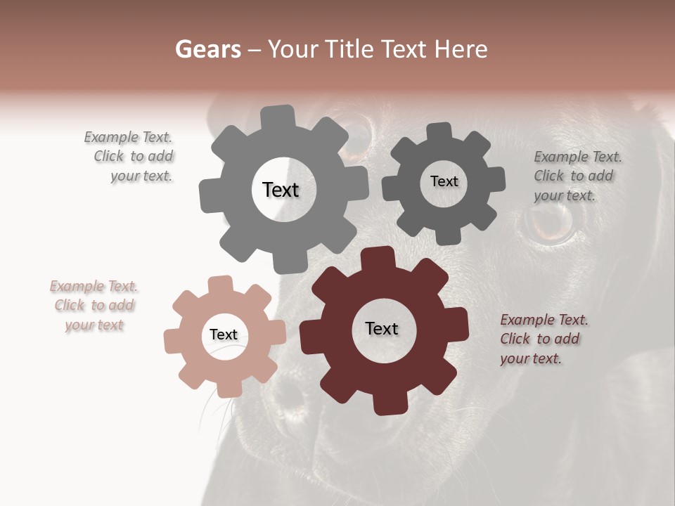 Retriver Intelligence Labrador Retriever PowerPoint Template