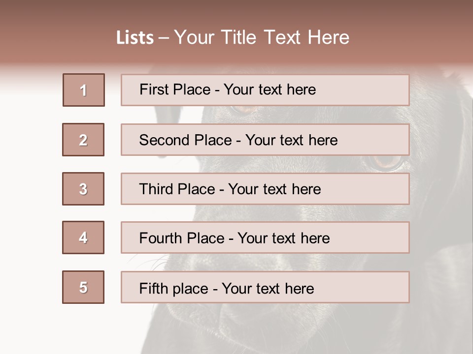Retriver Intelligence Labrador Retriever PowerPoint Template