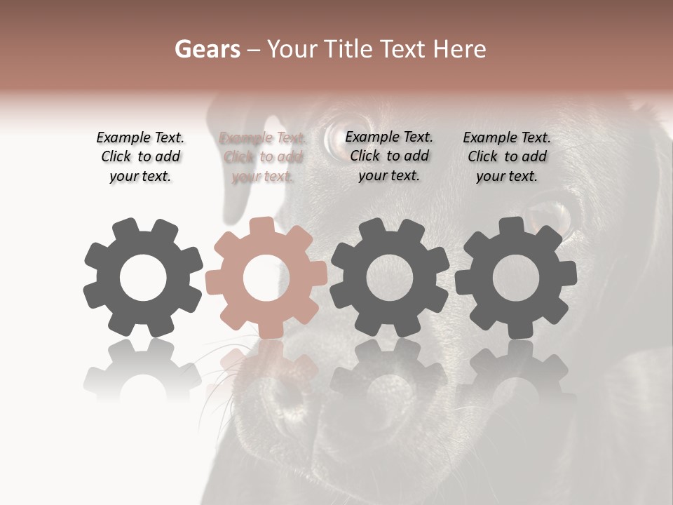 Retriver Intelligence Labrador Retriever PowerPoint Template