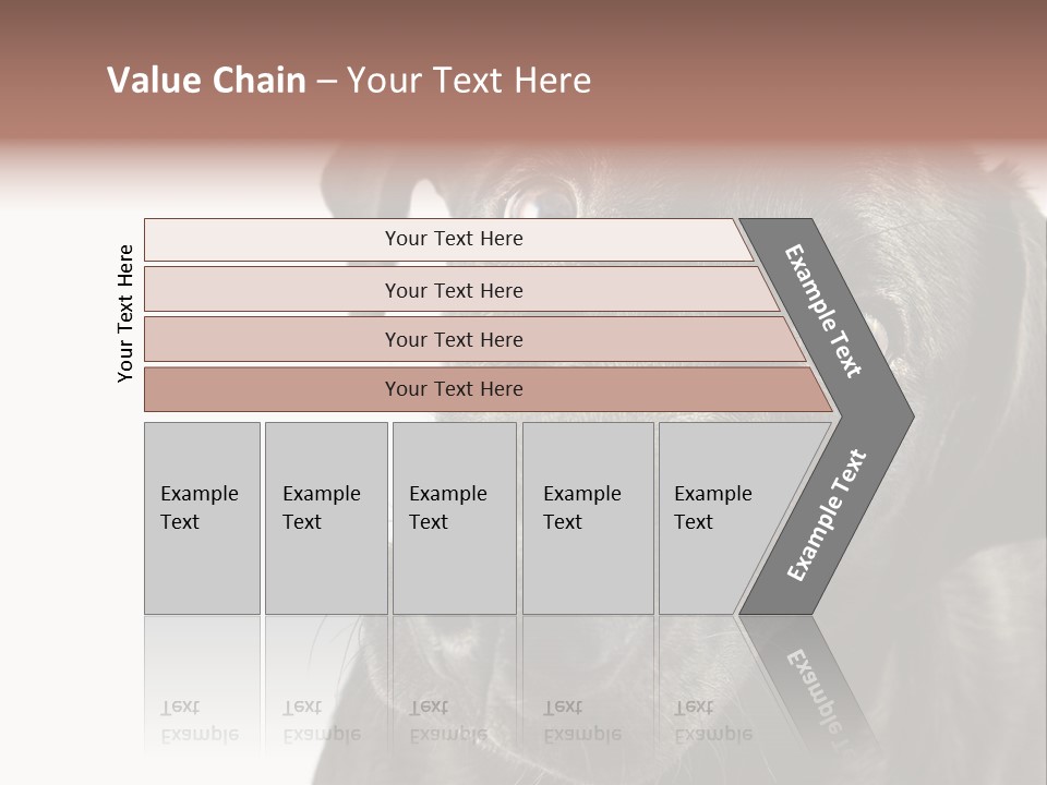 Retriver Intelligence Labrador Retriever PowerPoint Template