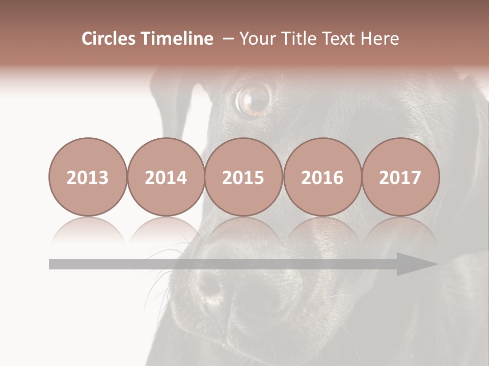 Retriver Intelligence Labrador Retriever PowerPoint Template