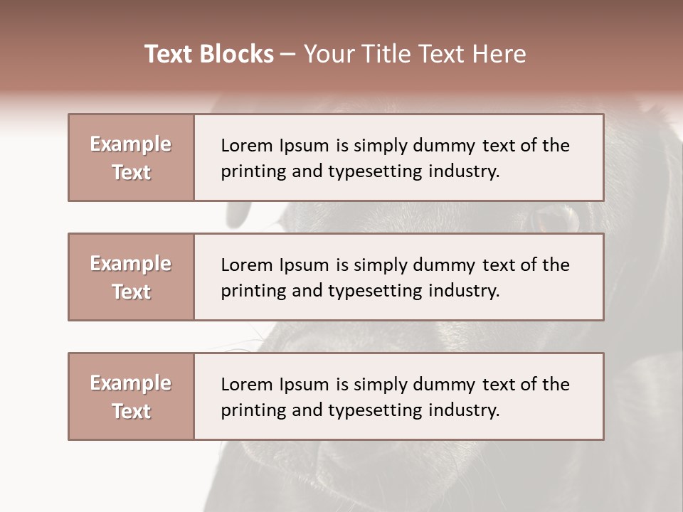 Retriver Intelligence Labrador Retriever PowerPoint Template
