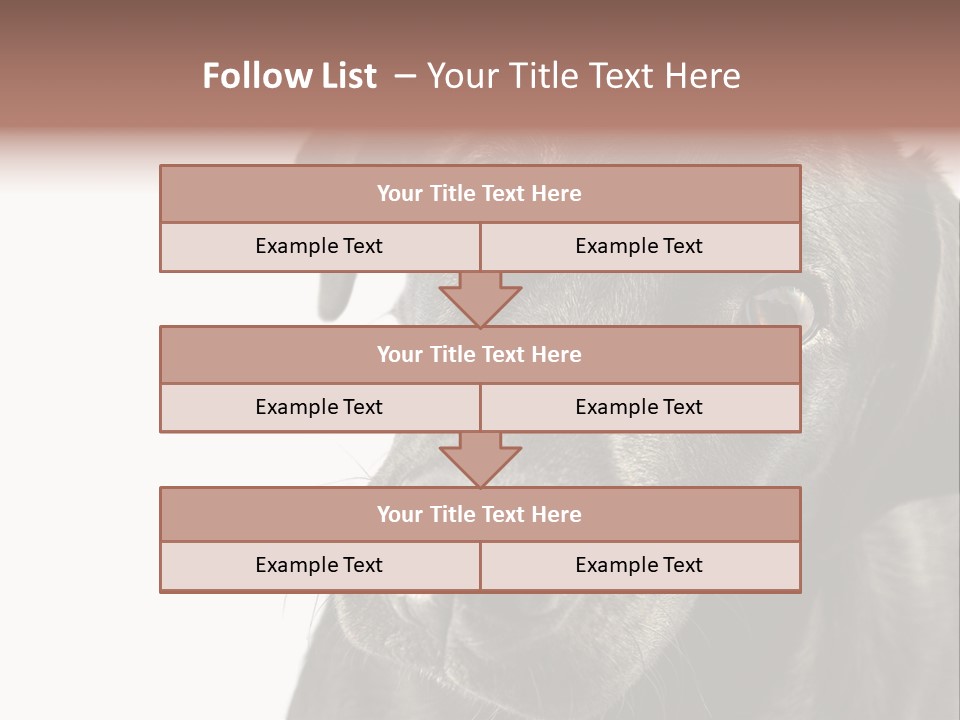 Retriver Intelligence Labrador Retriever PowerPoint Template