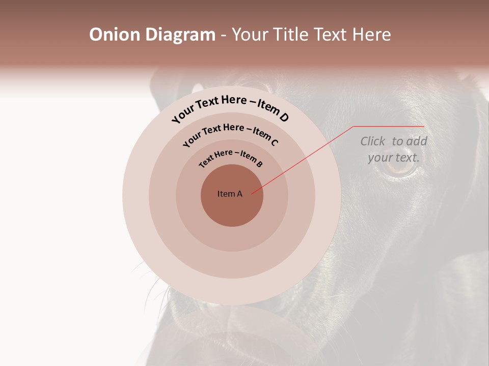 Retriver Intelligence Labrador Retriever PowerPoint Template