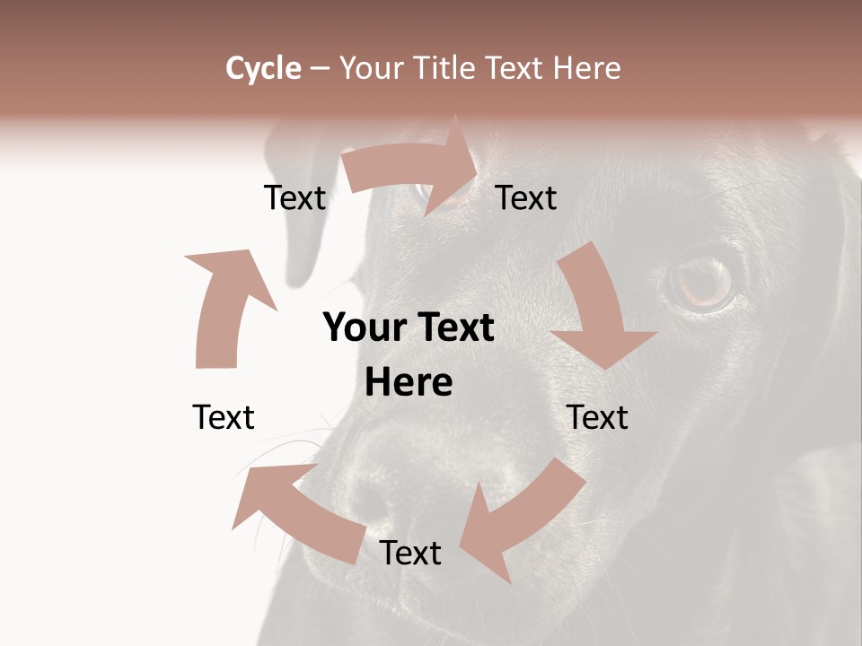 Retriver Intelligence Labrador Retriever PowerPoint Template