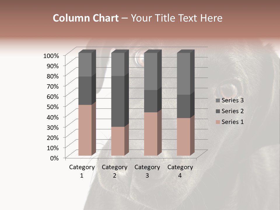 Retriver Intelligence Labrador Retriever PowerPoint Template