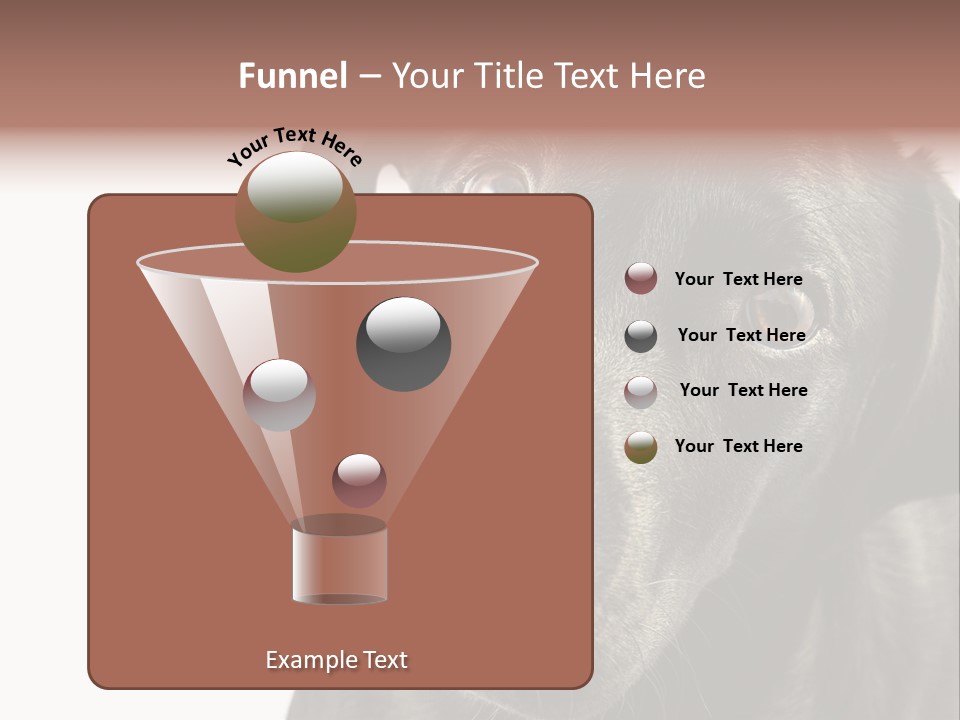 Retriver Intelligence Labrador Retriever PowerPoint Template