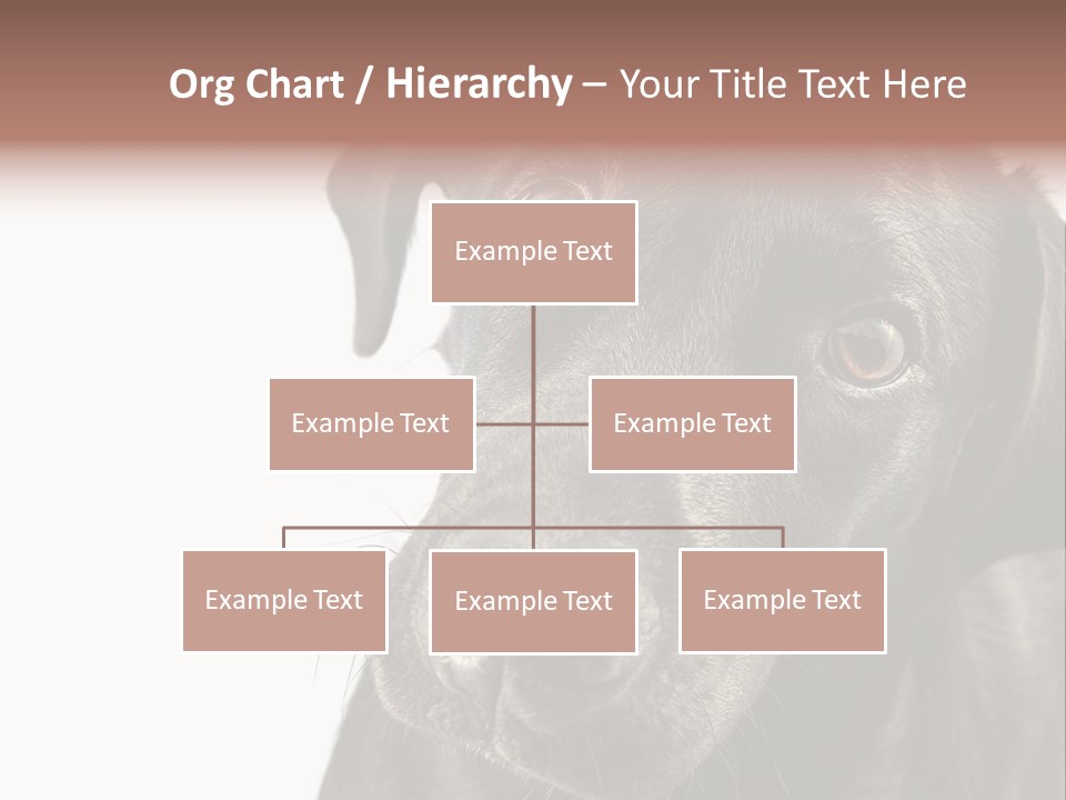 Retriver Intelligence Labrador Retriever PowerPoint Template