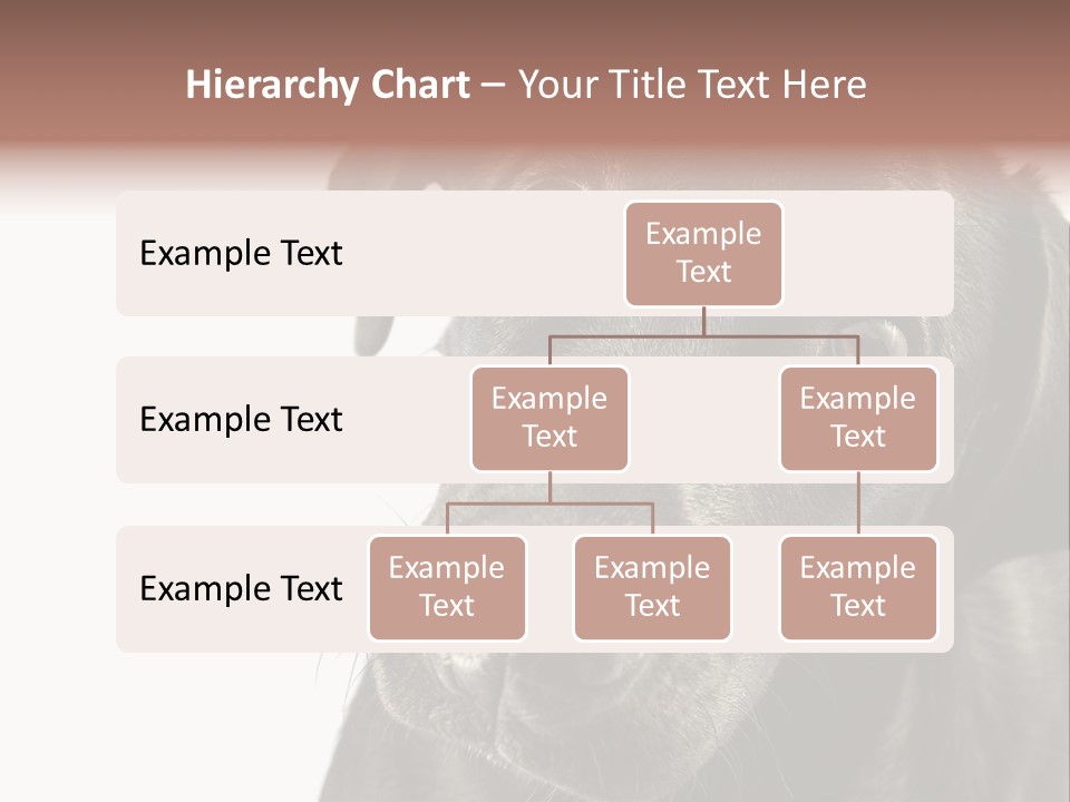 Retriver Intelligence Labrador Retriever PowerPoint Template