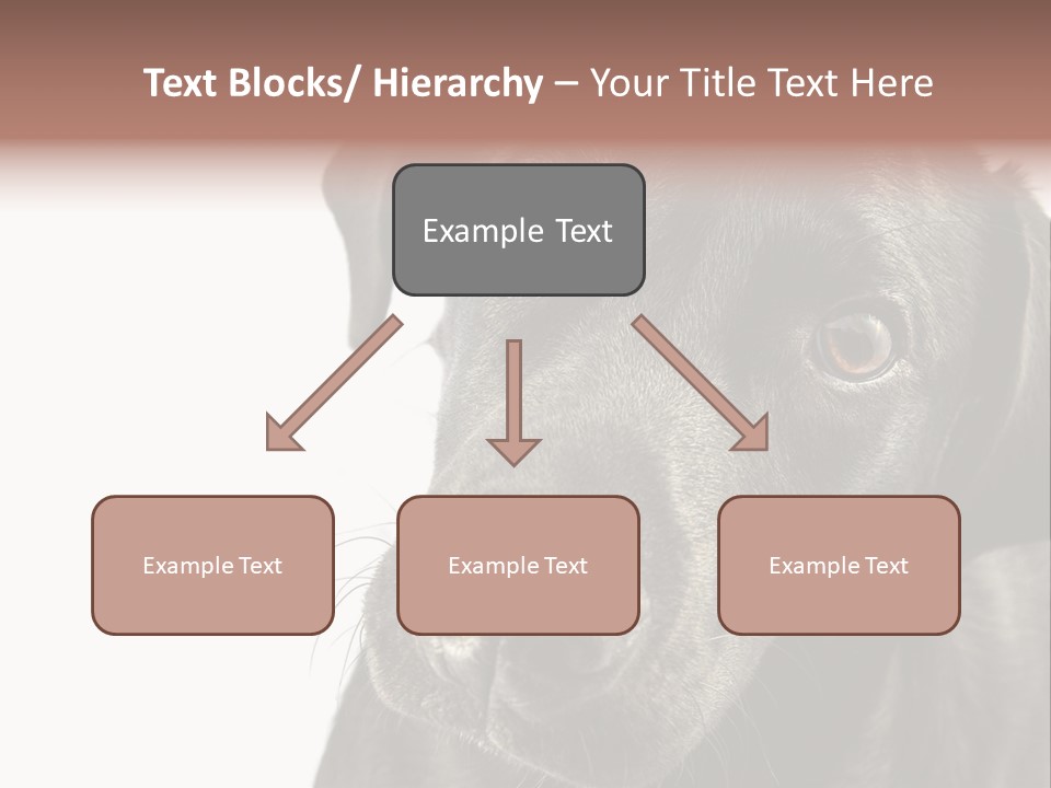 Retriver Intelligence Labrador Retriever PowerPoint Template