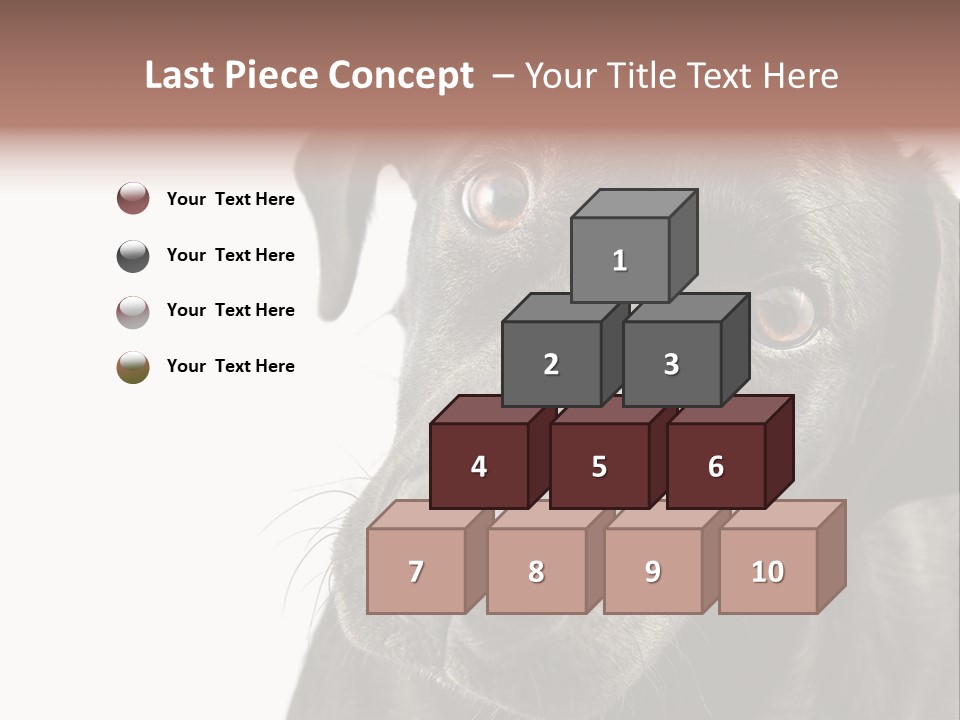 Retriver Intelligence Labrador Retriever PowerPoint Template