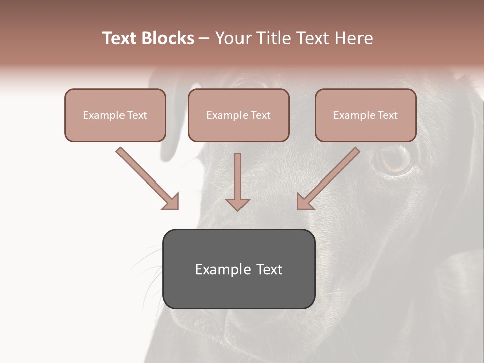 Retriver Intelligence Labrador Retriever PowerPoint Template