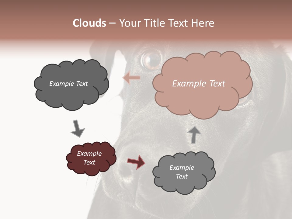 Retriver Intelligence Labrador Retriever PowerPoint Template
