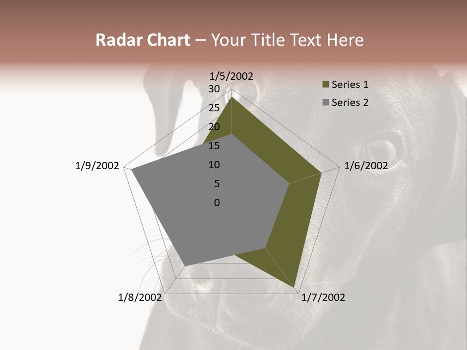 Retriver Intelligence Labrador Retriever PowerPoint Template